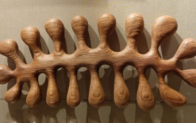 Taller MADERA (junio 2023)