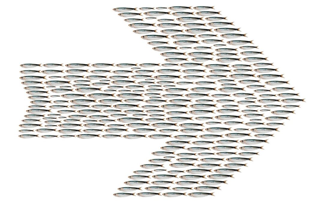 Adolfo Vargas Blanco: Poéticas visuales